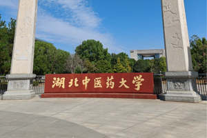 湖北中医药大学实验室超纯水机