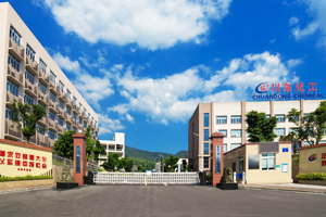 重庆万盛川东化工有限公司