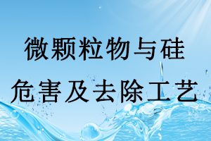 半导体行业生产用水中的微颗粒物与硅的危害及