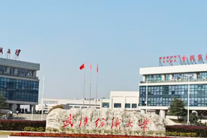 武汉纺织大学实验室超纯水机