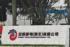 安琪酵母（崇左）有限公司实验室纯水机