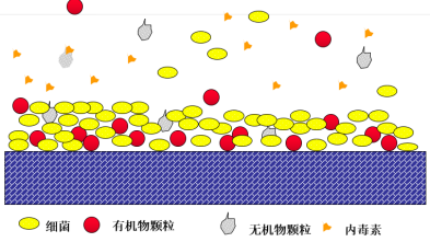 假期归来，实验室纯水系统这样维护，避免实验