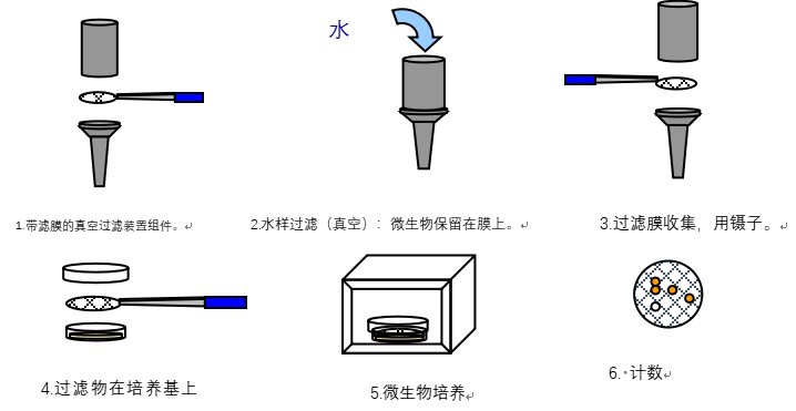 实验室纯水中微生物的控制与检测